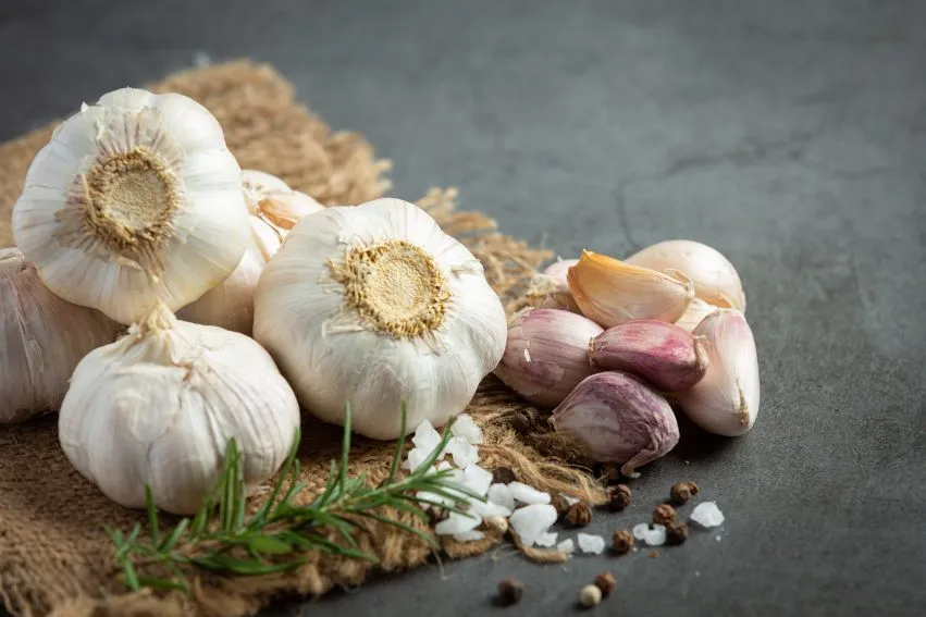Garlic Kwai Odorless