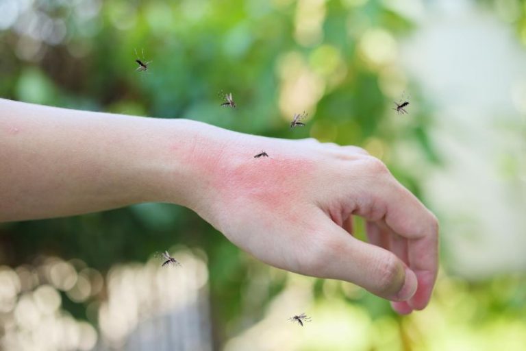 Prevent Mosquito Bites 768x512 