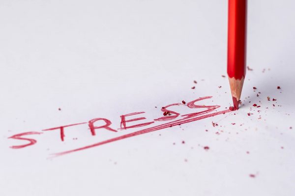 effects of stress on the body